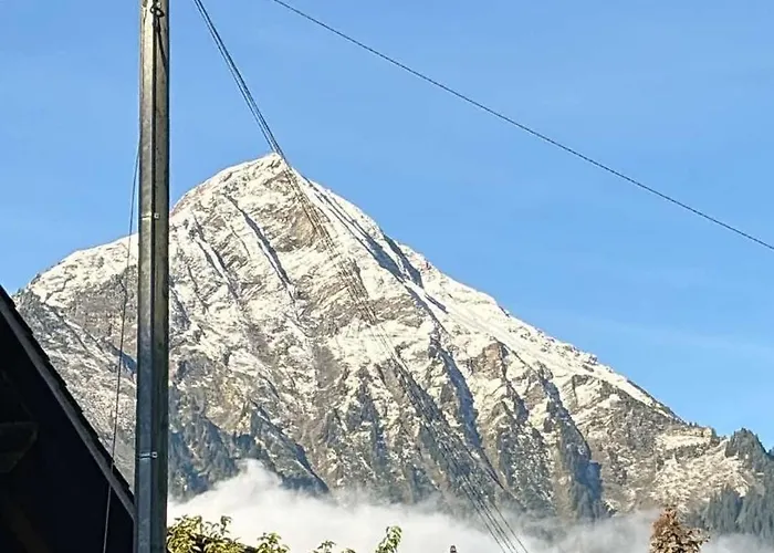 Lejlighed Baergli In